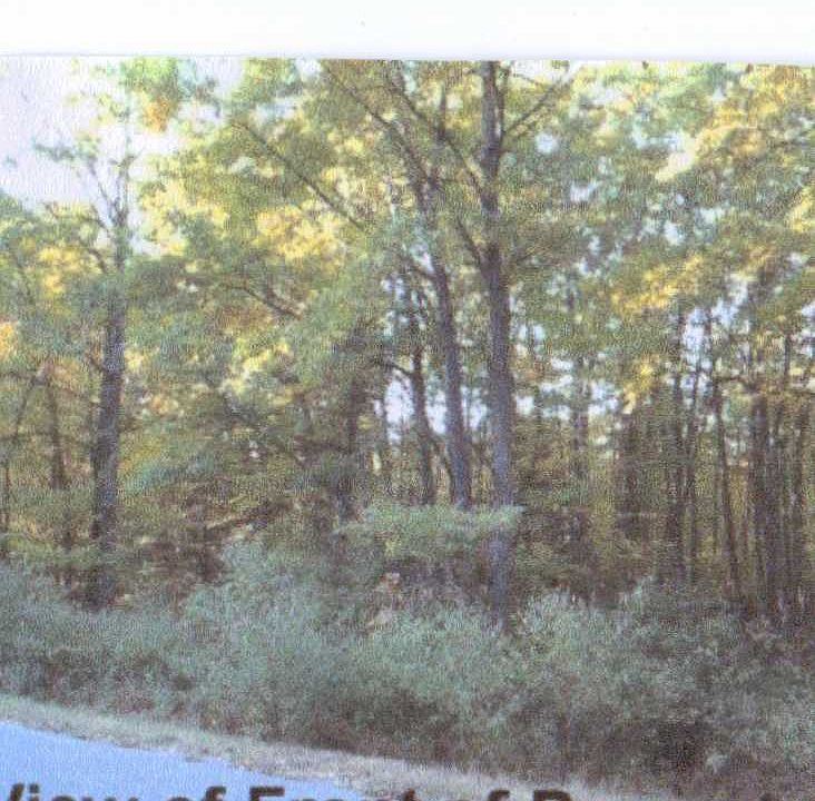 1st image of Robin Hood Dr Lot 44