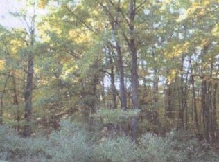 Robin Hood Dr LOT 44, Hubbard Lake, MI 49747