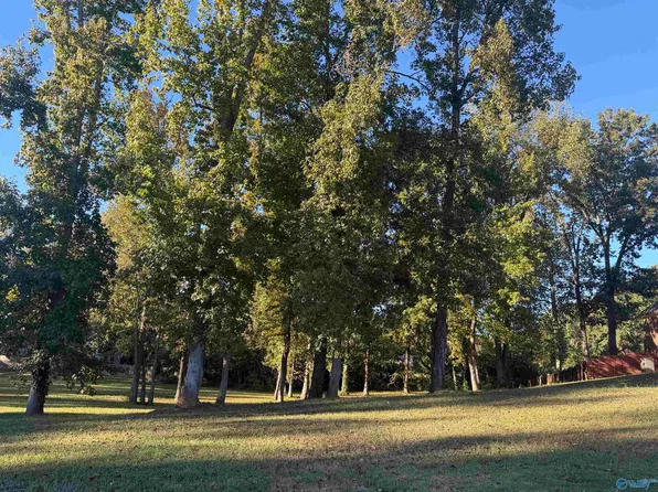 44 Kennedy Cir, Scottsboro, AL 35768