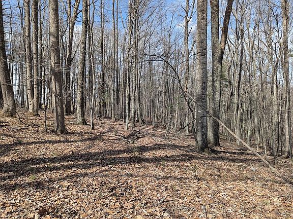 6th image of this home