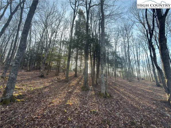 TBD Linwood Lane, Newland, NC 28657