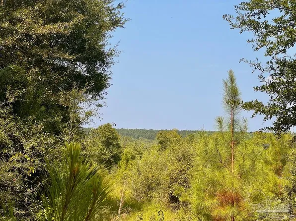 18 Morgan Ln, Molino, FL 32577