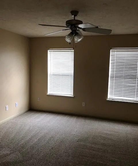 32107 Anne Ln — Photo 8