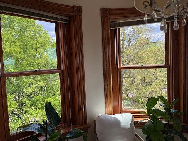 Third floor view of trees in Anna Cooper Circle