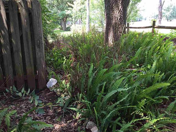 5th image of 2731 Blair Stone Ln