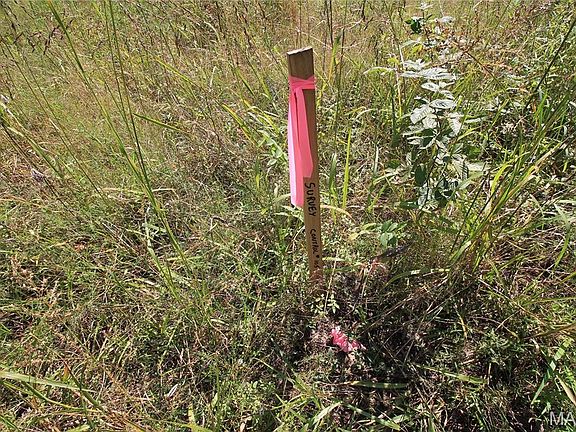 18th image of 0 Coldwater Crk #Creek_lot-2