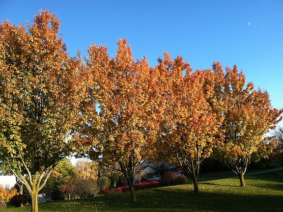 Beautiful Fall Colors