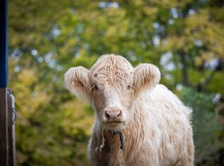 W5302 Bark River Rd, Fort Atkinson, WI 53538