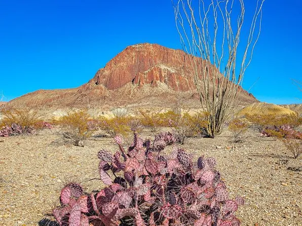 53396 State Highway 118 S, Terlingua, TX 79852