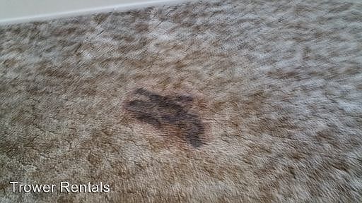 5th image of 2700 Pagewood Ave