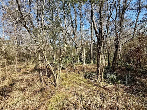 0 Redbud Dr Lot 9, Conroe, TX 77302