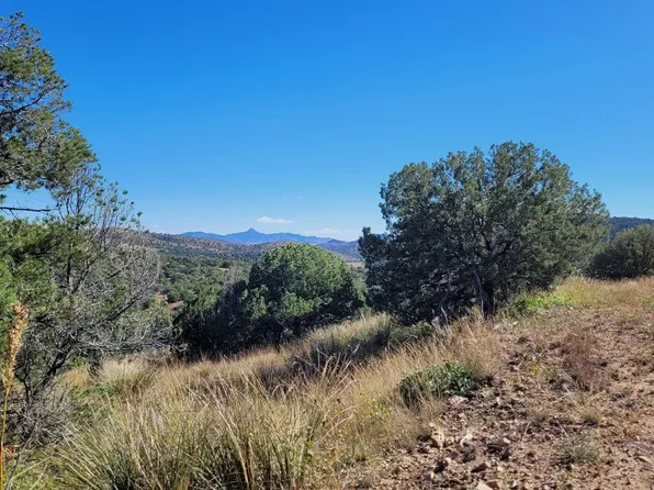 Xx4 Metate Ln, Mimbres, NM 88049