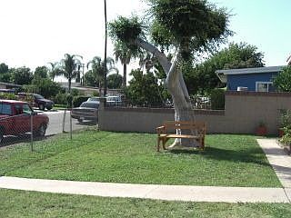 Shade Tree