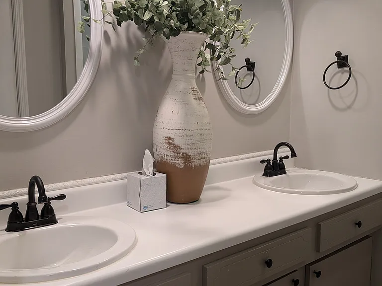 Hall bathroom with dual sink vanity