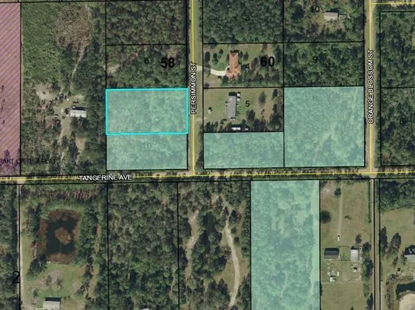 2956 Persimmon St, Bunnell, FL 32110