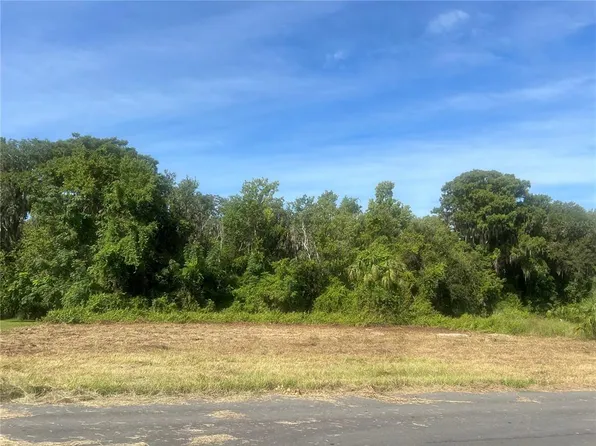 Redtree Dr Lot 19, Leesburg, FL 34748