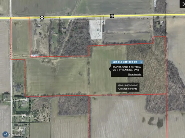 S Saint Clair Rd, Ovid, MI 48866