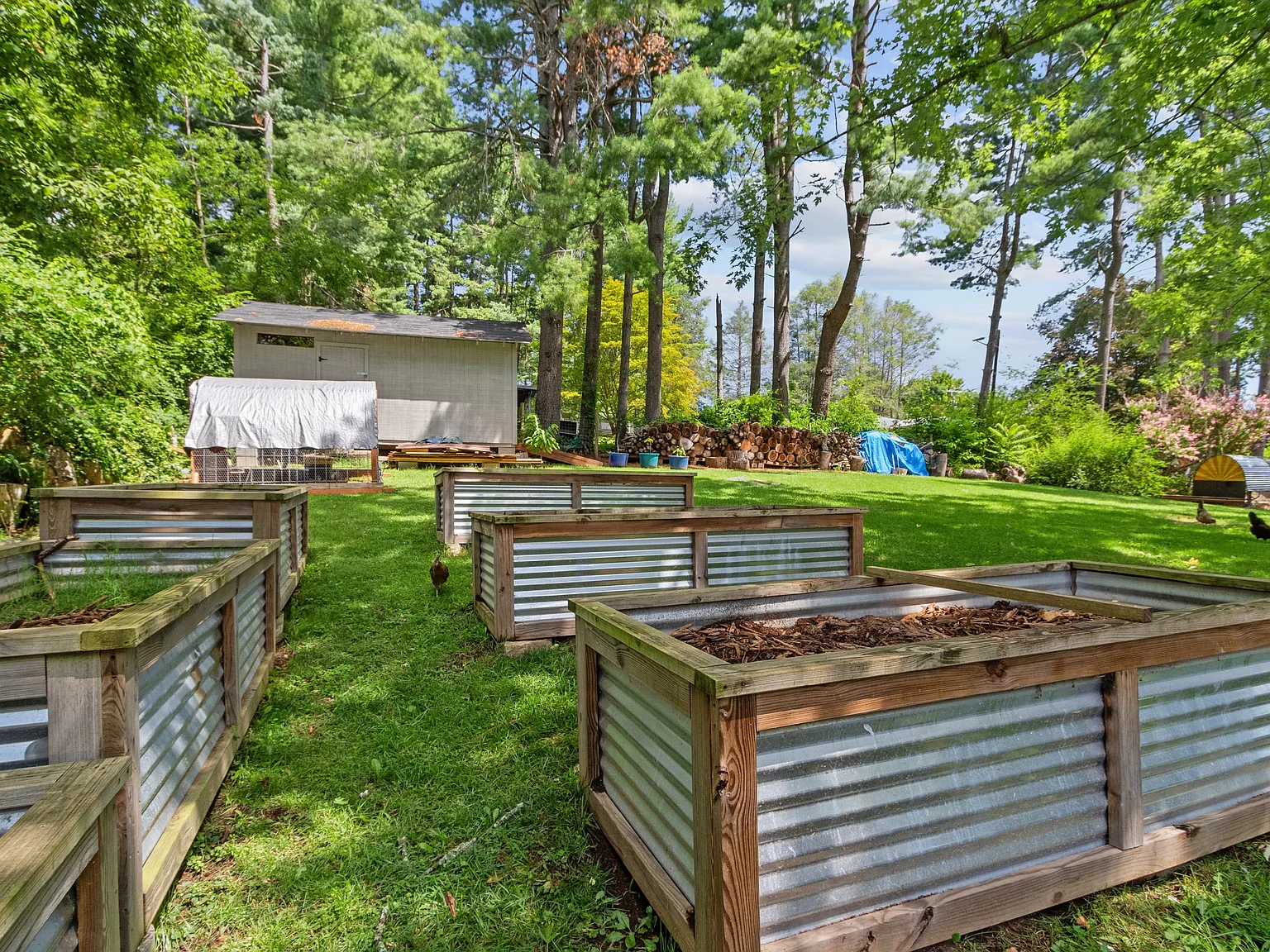 3 bed, 1706 sqft, $2,500 — Photo 3