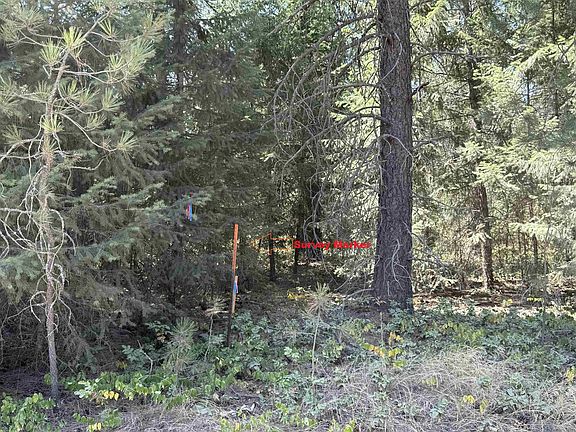 4th image of 27719 N Regal Rd