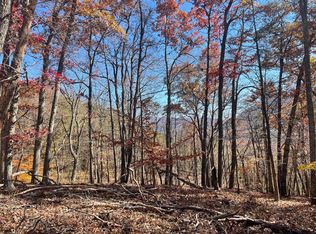 Tbd Sallings Mountain Rd, Glasgow, VA 24555