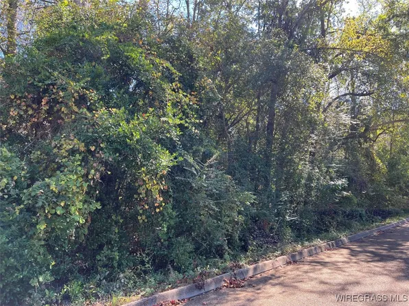 11 1/2 Lot #12, Andalusia, AL 36421