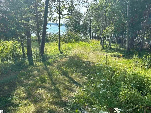 Lots 5 & 20 Wak Wing Dr, Central Lake, MI 49622