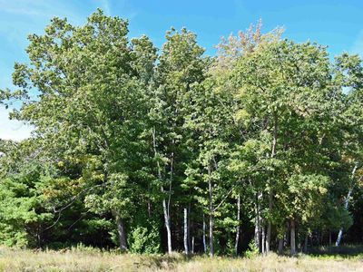 0 N Us Highway 23, Oscoda, MI, 48750