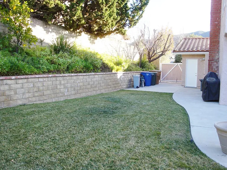 Side yard