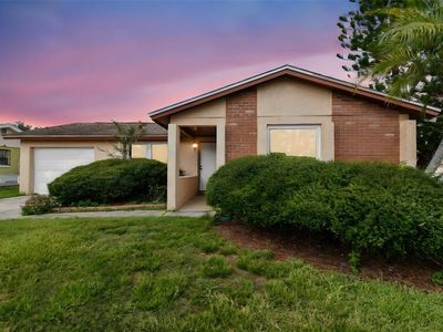 10111 Enchanted Oaks Ct, Tampa, FL, 33615