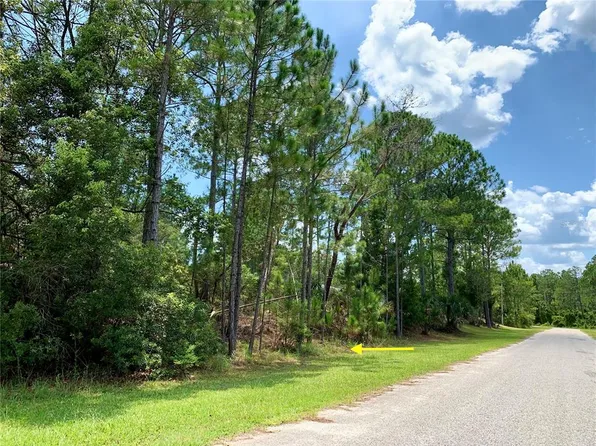 3 Tulip Ave, Eustis, FL 32736