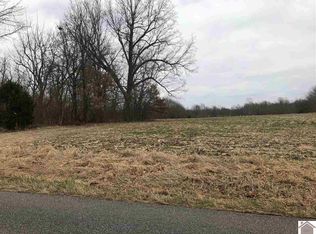 748 State Route 945, Mayfield, KY 42066