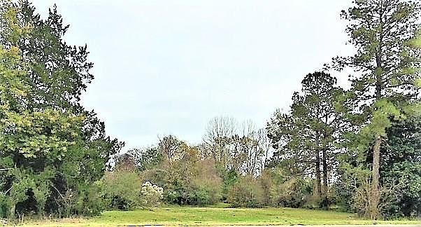 2nd image of 5311 Masonic Dr