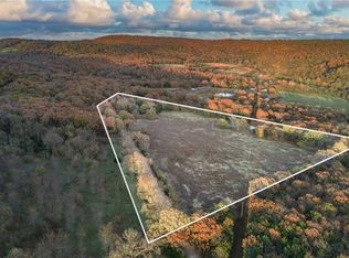 19137 Vineyard Rd, Canehill, AR 72717