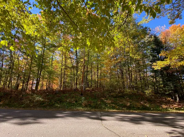 Lake Julia Rd, Rhinelander, WI 54501