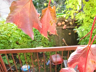 Rented by Residents Team