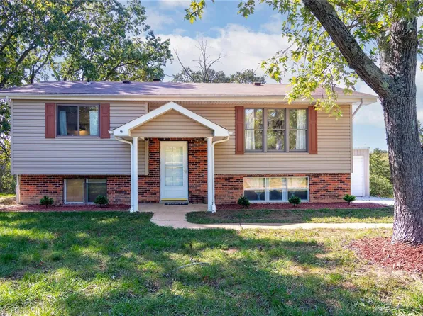7815 Hillsboro House Springs Rd, Hillsboro, MO 63050