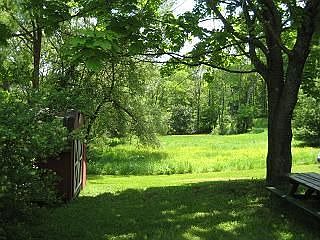 Nice lawn