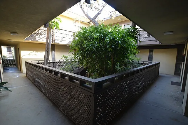 Chii Sai Apts...Gorgeous Apartment...Prime Westside Location...CALL NOW! — Photo 8