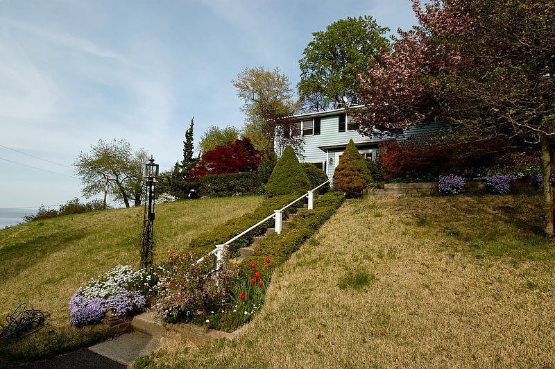 Driveway View