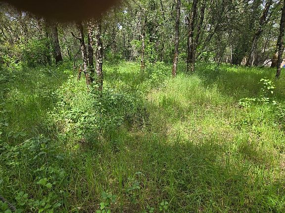2nd image of 12729 Wolf Rd