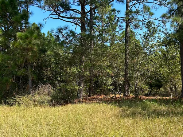 79 Sand Ridge Rd Road, Laurel Hill, NC 28351