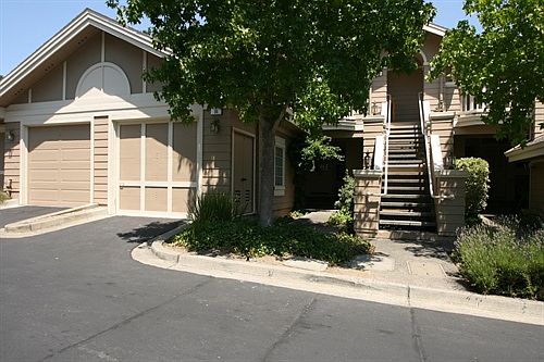 Front view