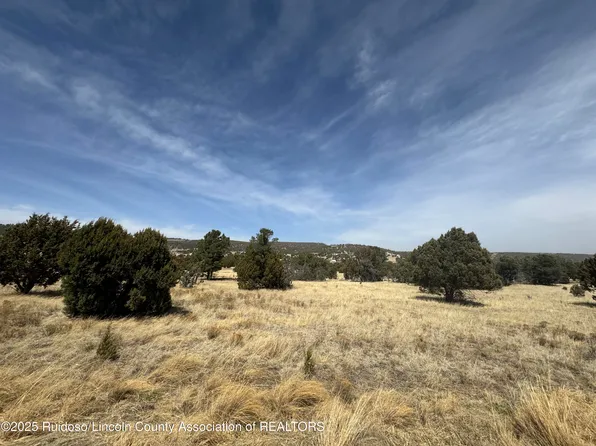 267 Saddleback Rd, Alto, NM 88312