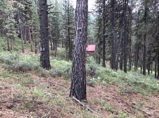 10 Hall Dr, Lowman, ID 83637