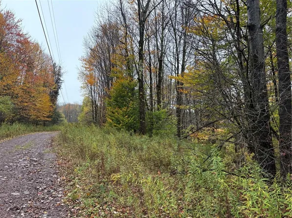 Dancing St Lot 33, Bloomville, NY 13739