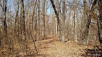 2nd image of 0 Tall Oaks Rd