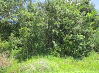 Dartmoor Pl, Kissimmee, FL 34758