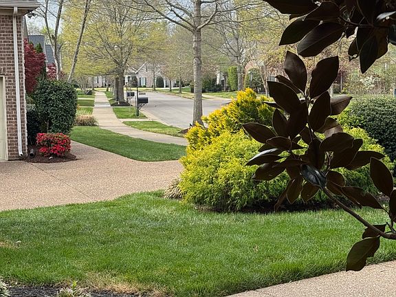 3rd image of 721 Springlake Dr