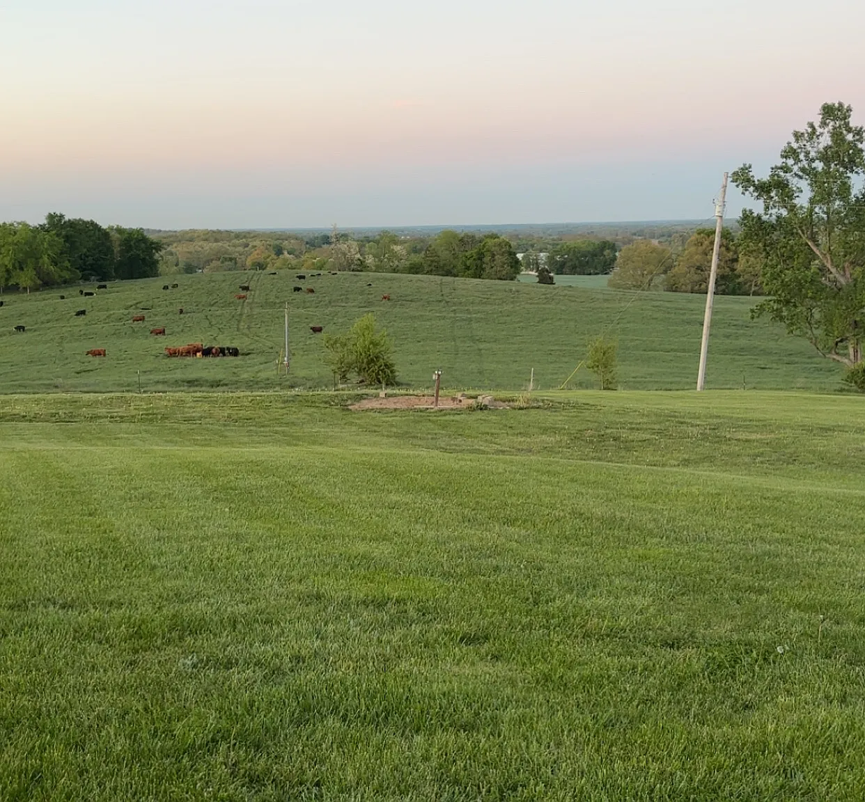 3 bed, $1,200 — Photo 1