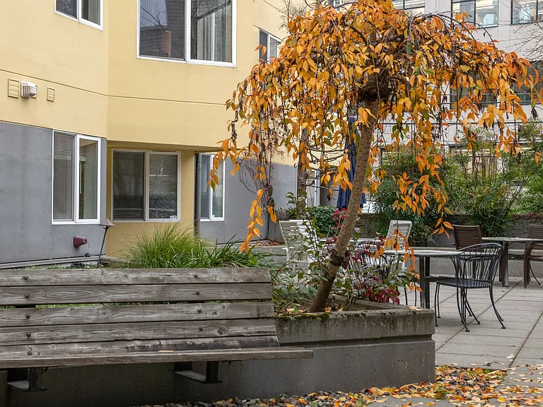 Lake Union Terrace — Photo 12
